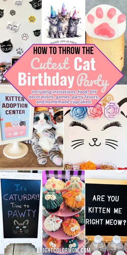 various photos from a cat birthday party