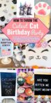 various photos from a cat birthday party