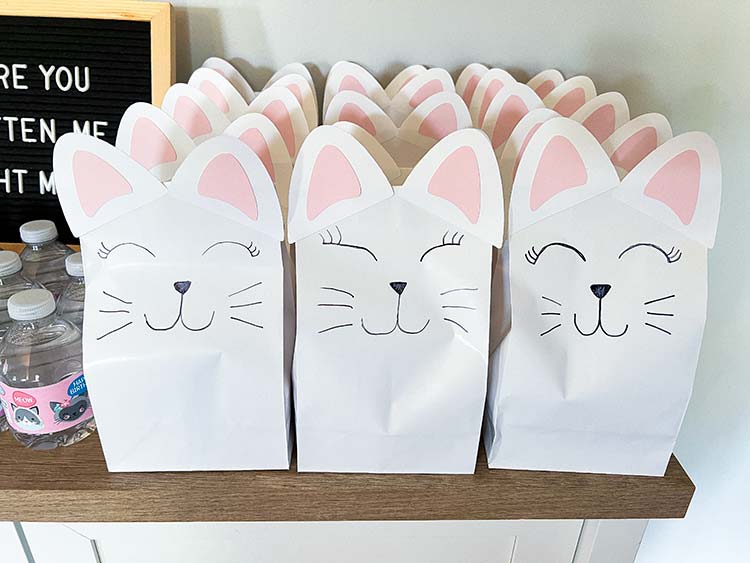 party favor bags