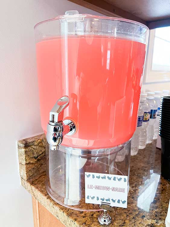 a drink dispenser