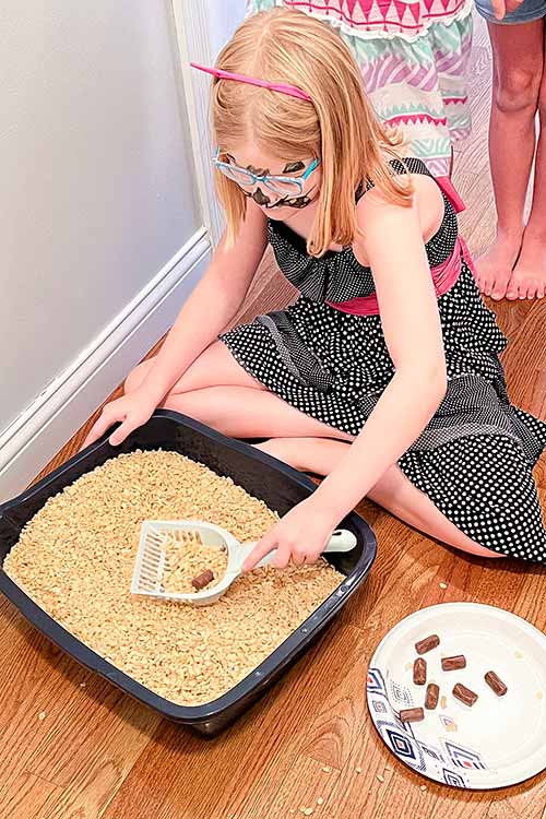 a girl scooping a litter box