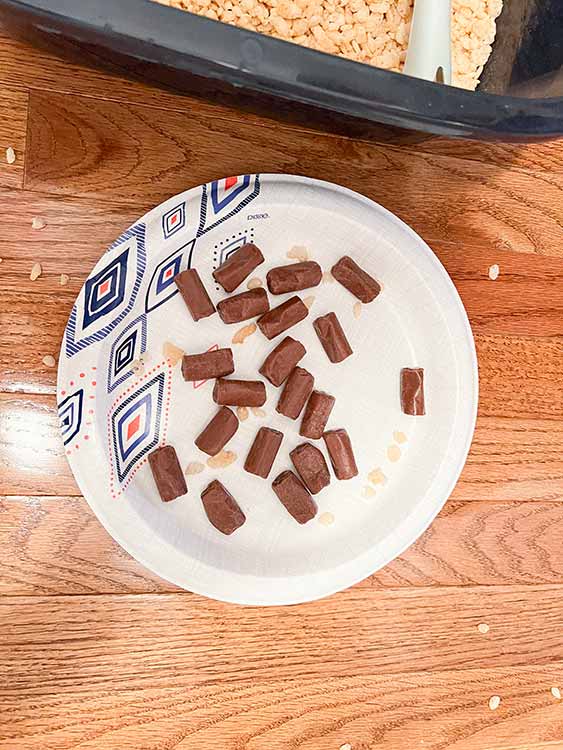 a plate of Tootsie Rolls