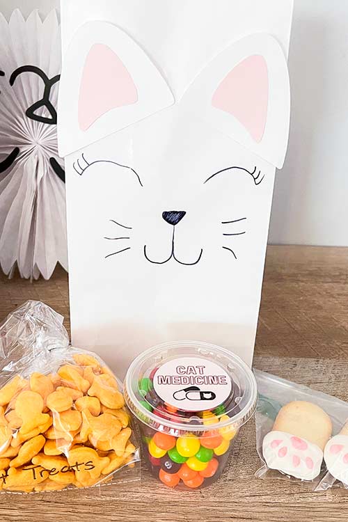 cat-themed party favors