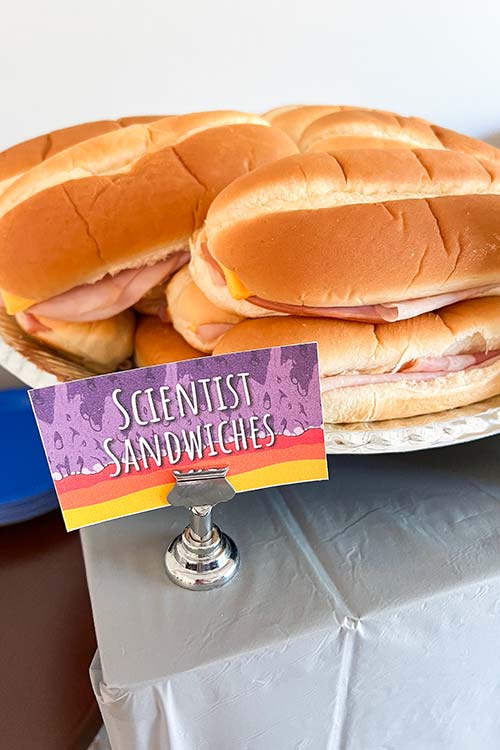 hoagie sandwiches