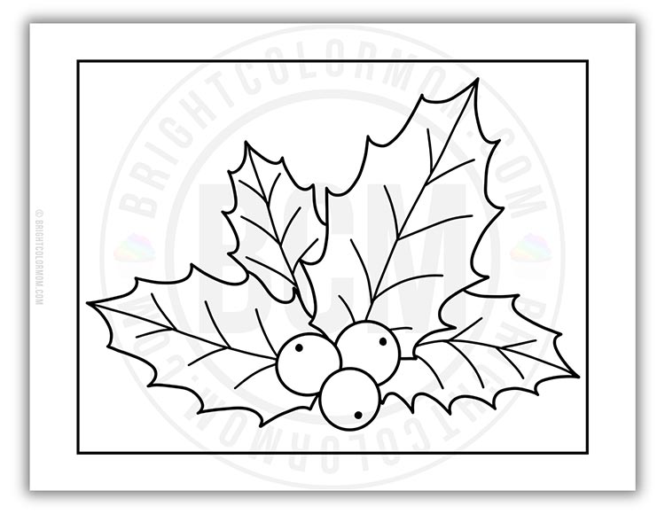 coloring page featuring holly leaves with berries