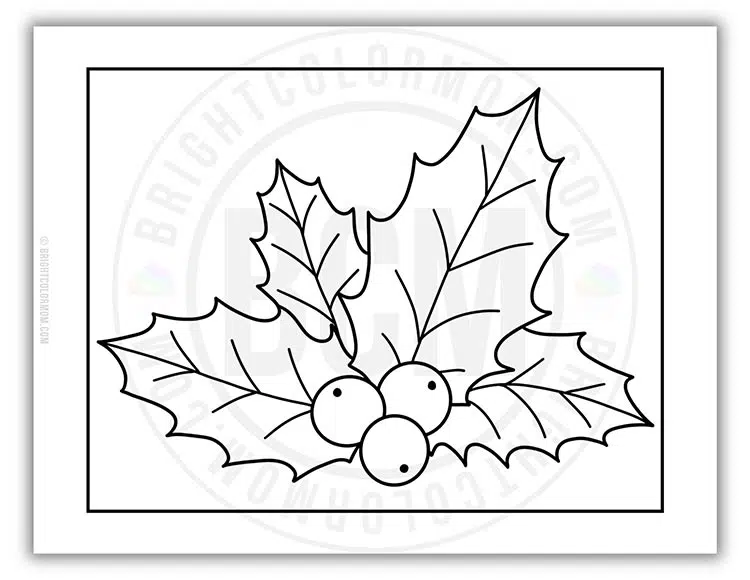 coloring page featuring holly leaves with berries