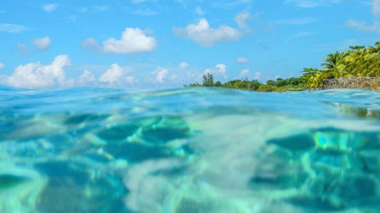 Rocky shoreline and clear blue water near Money Bar Cozumel
