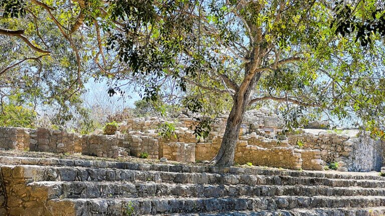 Stone ruins and tree providing shade at Dzibilchaltun