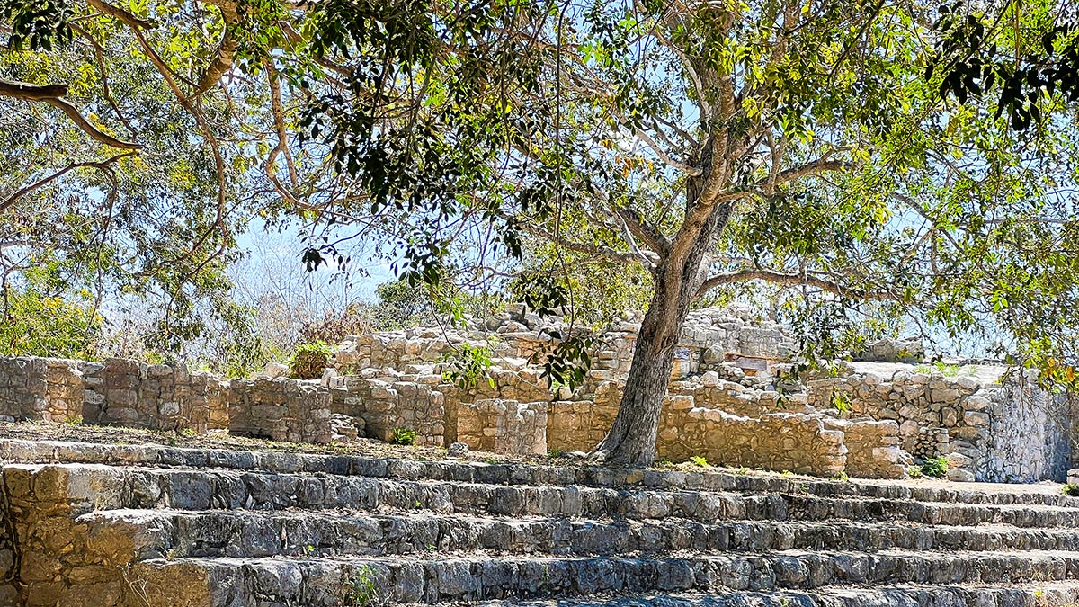 Stone ruins and tree providing shade at Dzibilchaltun