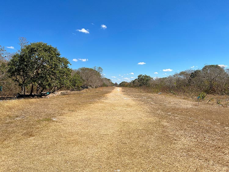 Long white road leading to temple at Dzibilchaltun