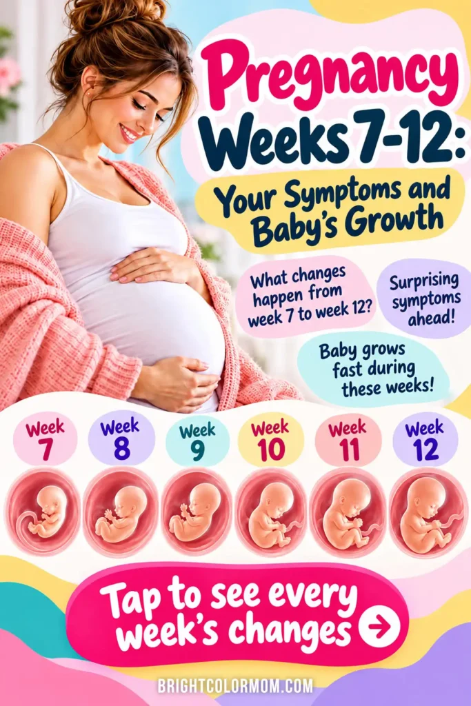 Pregnancy weeks 7–12 guide featuring baby development illustrations, first trimester symptoms, and week-by-week fetal growth.